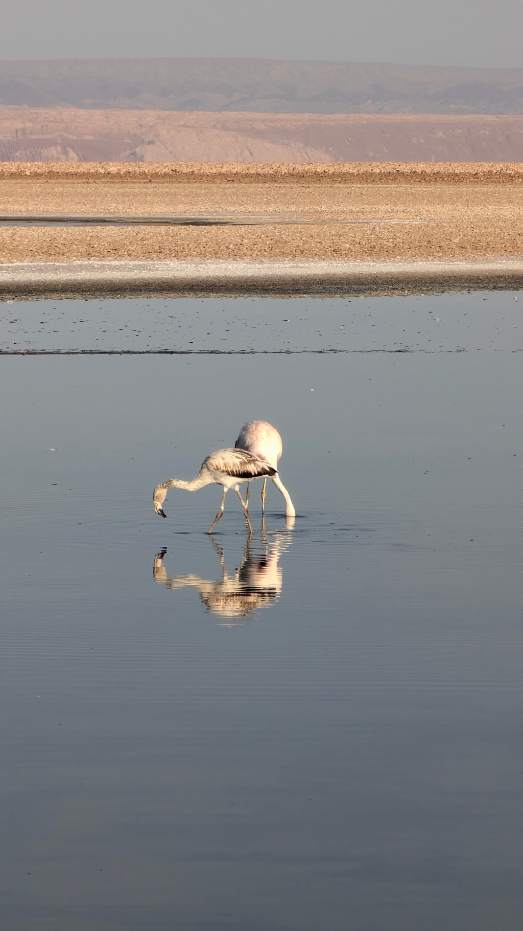 Reflections on The Art of Standing Out: Leadership, Growth and Purpose